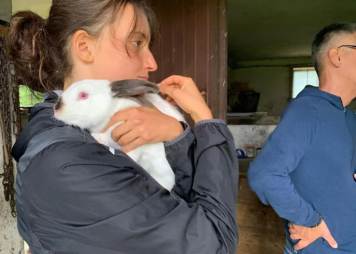 Flowmove Kamesznica *